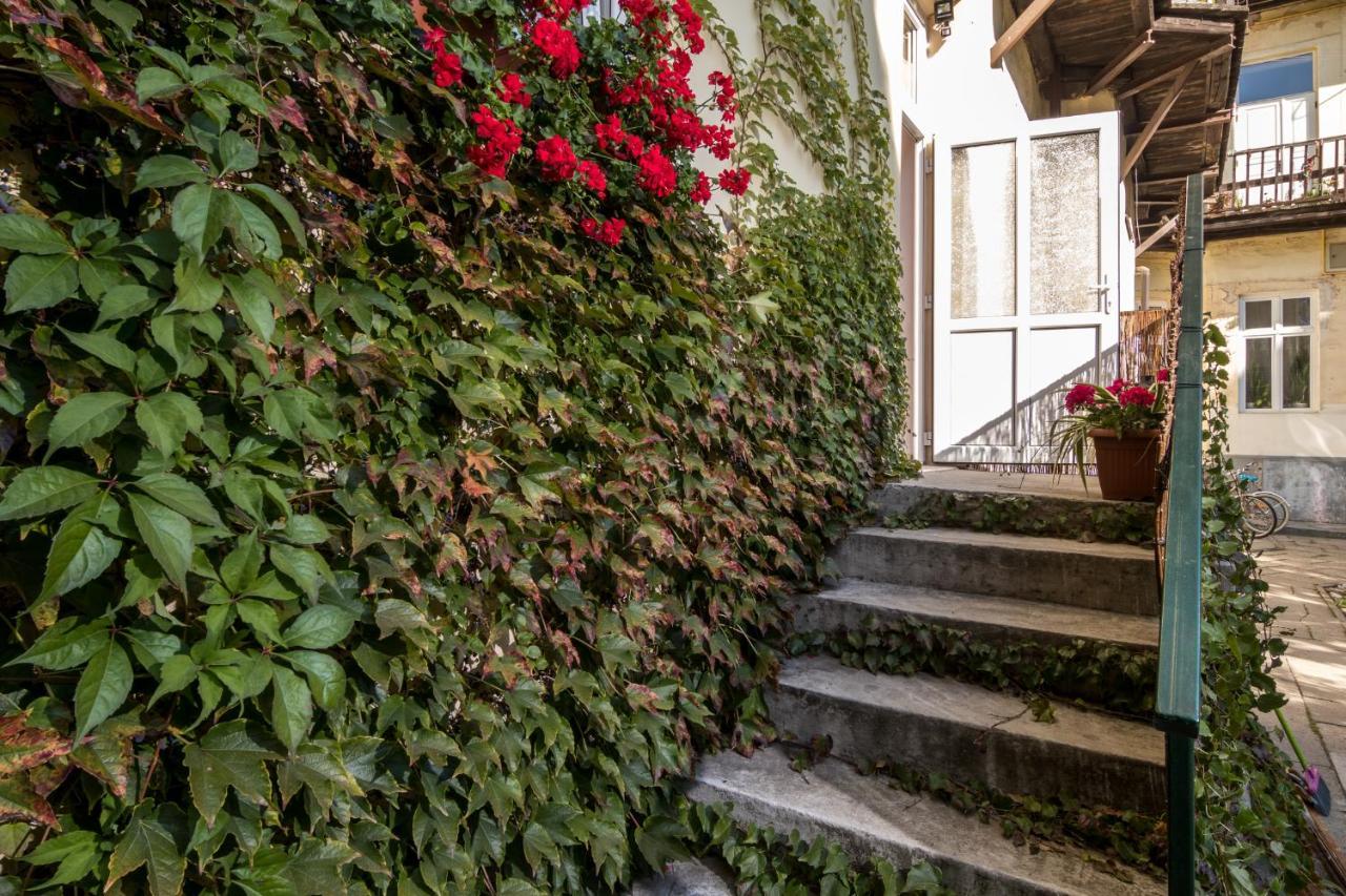 Cracow Best Location Apartment With Garden By Cozyplace Kraków Exteriör bild